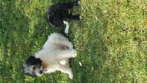 20201003_133718.jpg