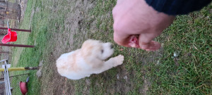 20201212_162957.jpg