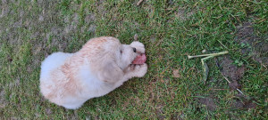 20201212_163011.jpg