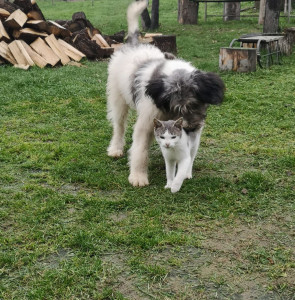 20201222_213536.jpg
