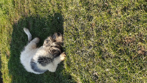 20201205_121640.jpg
