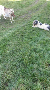 20201205_131508.jpg