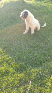 20201205_142336.jpg