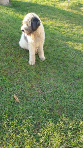 20201205_142345.jpg