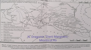 Deplasările și așezările oierilor români documentate în Ucraina /Rusia, a se vedea spațiul unde a ajuns, dus din Carpați, câinele mocănesc, strămoșul SRO-ului. Arealul coincide cu zona unde s-a format SRO modern