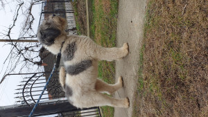 20201220_133343.jpg