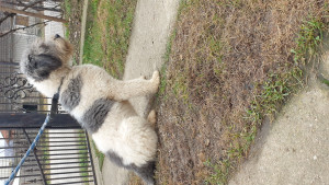 20201220_133357.jpg