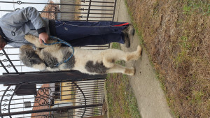 20201220_133435.jpg