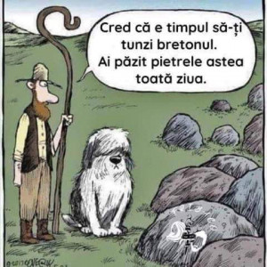 FB_IMG_1607682254255.jpg