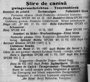 Foto 43.jpg