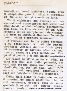 descriere ciobanesti2.jpg