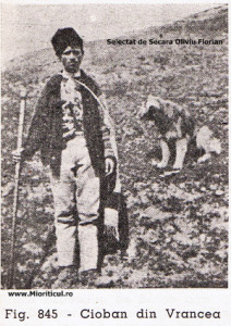 cioban din vrancea.jpg