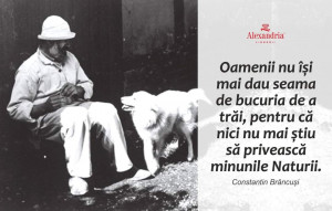 Bălan