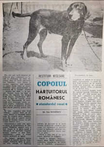 Copoiul românesc -  restituiri obligatorii