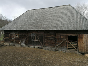 IMG_20210408_150131.jpg