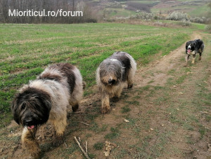 Drumeție prin natură