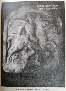 Foto din carte, reprezentând cei doi câini de vanatoare aflați față în față lângă vânătorul ecvestru