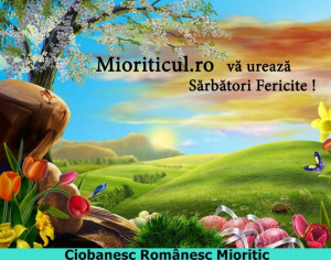 Hristos a înviat !