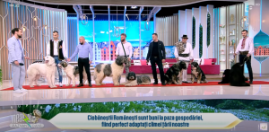 Grup ciobanesti TV.png