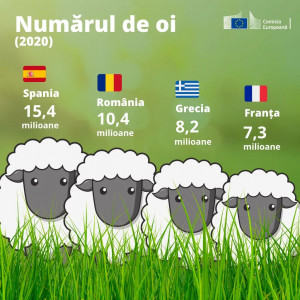FB_IMG_1625090412279.jpg (159.32 KiB) Viewed 6028 times Șeptel Ovine România