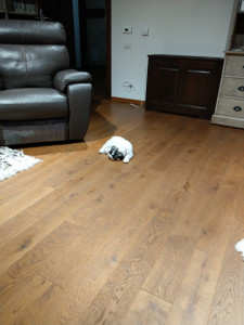 IMAG3298.jpg