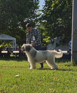 received_846695459384172.jpeg