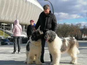 Pintea din Zestrea Stânelor