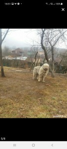 DFB3D3A3-DDDE-4448-A677-4929017CF680.jpeg