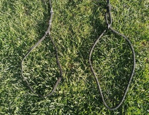 Lesă cu zgărdiță pt prezentare din șnur textil f rezistent cu posibilitatea de reglaj în funcție de circumferința gâtului