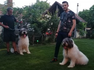 Dl Prodan și dl Zdrite pregătiri pt prima ieșire în expoziție