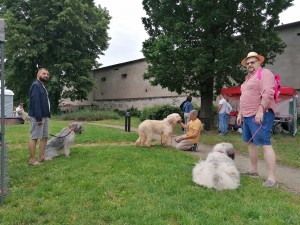 IMG_20220604_084215.jpg