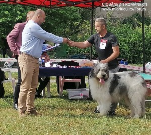 Corifeu din Zestrea Stânelor