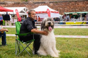 Mascul clasa Intermediară