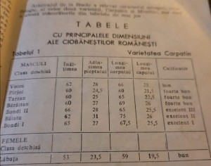 Dimensiuni CARPATINI