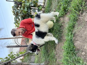 C3BBBD03-6A1B-4852-B00D-AD9B4B073553.jpeg