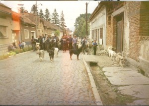Poza este făcută în Teregova, jud. Caras-Severin, în jurul anului 2000