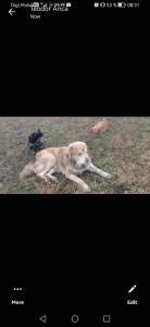 092B5786-70AF-4ACD-94AB-5FC68D5B989F.jpeg