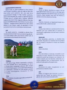 Standard Ciobănesc Românesc Bălan