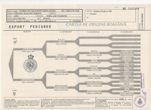 pedigree_zpseb779962.jpg