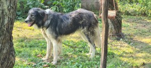 20230819_105211.jpg