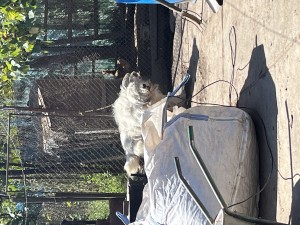 IMG_4655.jpeg