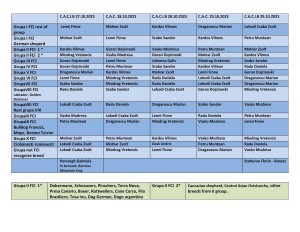 Se cunosc cei care vor arbitra CR; vezi lista de mai sus.