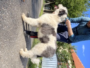 A4D99290-48DE-471B-8FE9-F920162EC276.jpeg