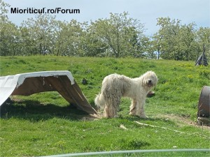 IMG_1675.jpeg