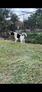 59EFDAE5-95F1-4E34-9640-C75EC0D0743A.png