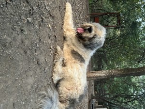 655D3215-FA94-4A8C-9EBD-A230DAAD9EA8.jpeg