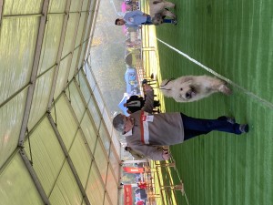IMG_5731.jpeg