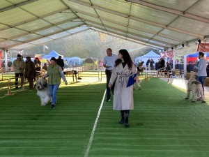 IMG_5727.jpeg