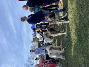 IMG_5898.jpeg