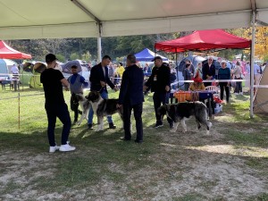 IMG_5903.jpeg
